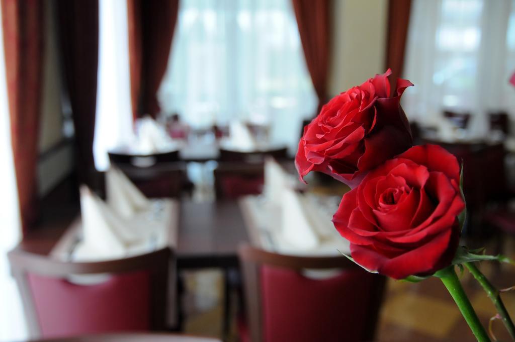 Hotel Dei Platani 리미니 외부 사진