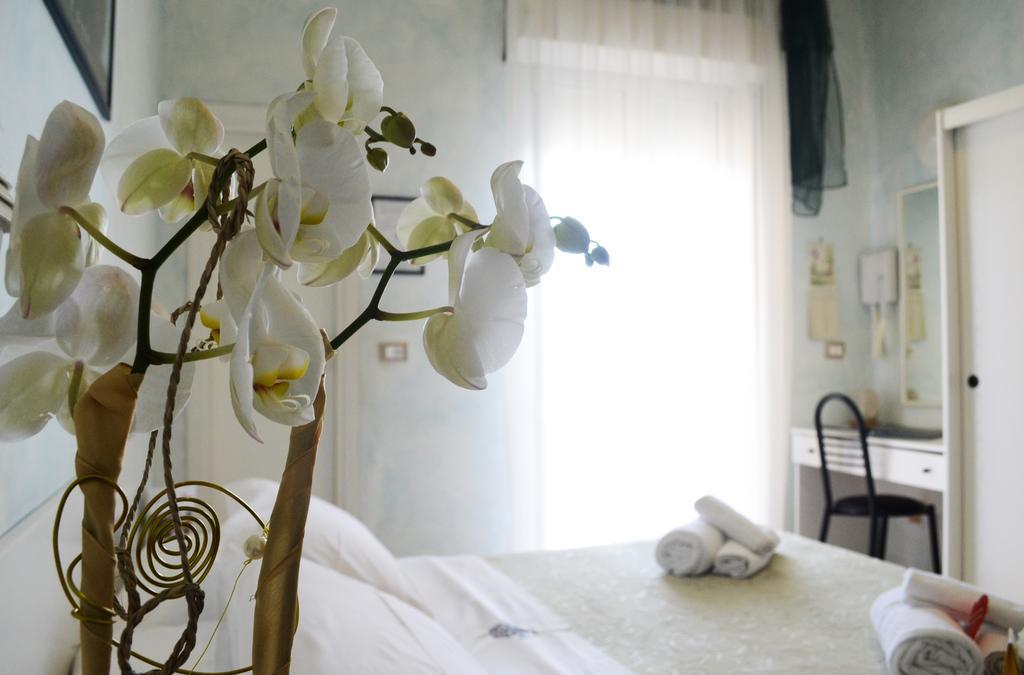 Hotel Dei Platani 리미니 외부 사진