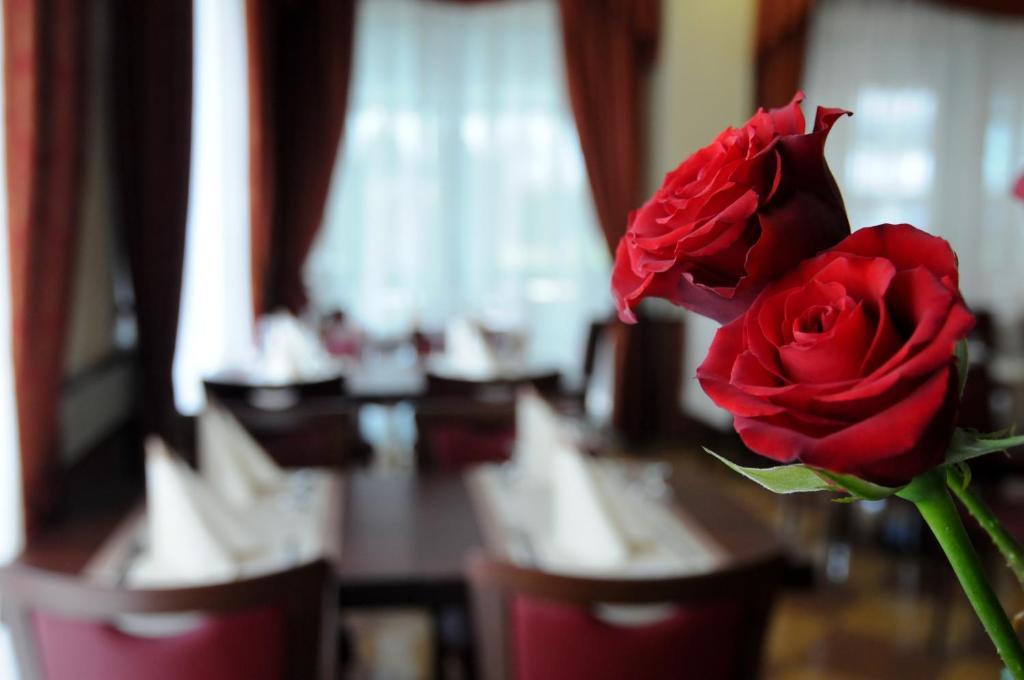 Hotel Dei Platani 리미니 외부 사진
