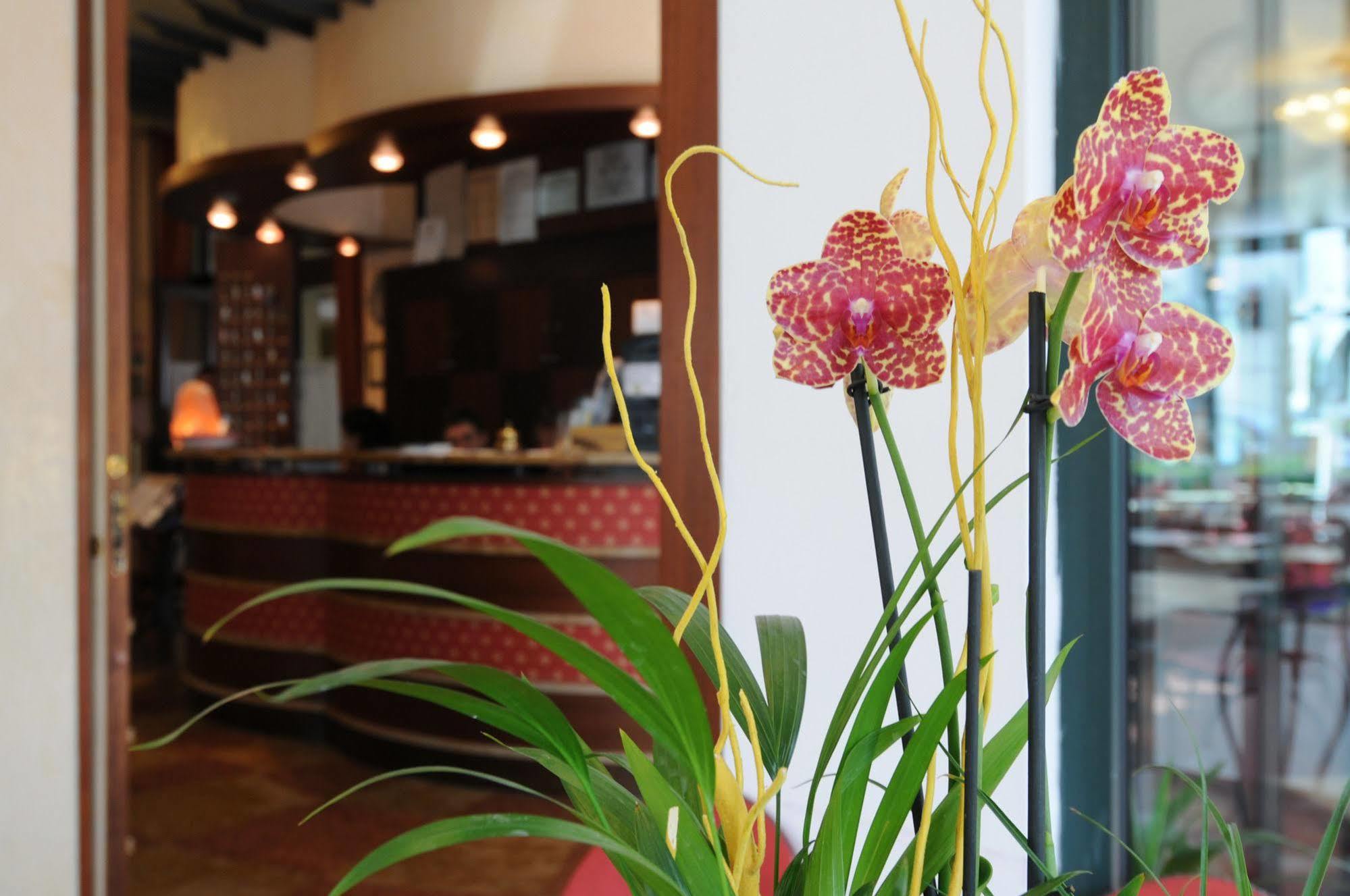Hotel Dei Platani 리미니 외부 사진